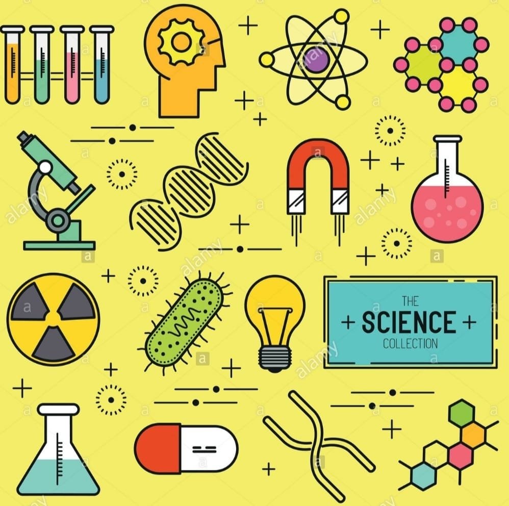 QUIMICA 6° 2026